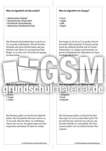 Quiz-Karten-Tiernamen 42.pdf